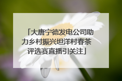 大唐宁德发电公司助力乡村振兴坦洋村春茶评选赛直播引关注